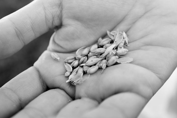 Siamo vivi, siamo accoglienti. Il senso della fiducia.